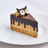 Hibou Chocolate Hazelnut Entremets